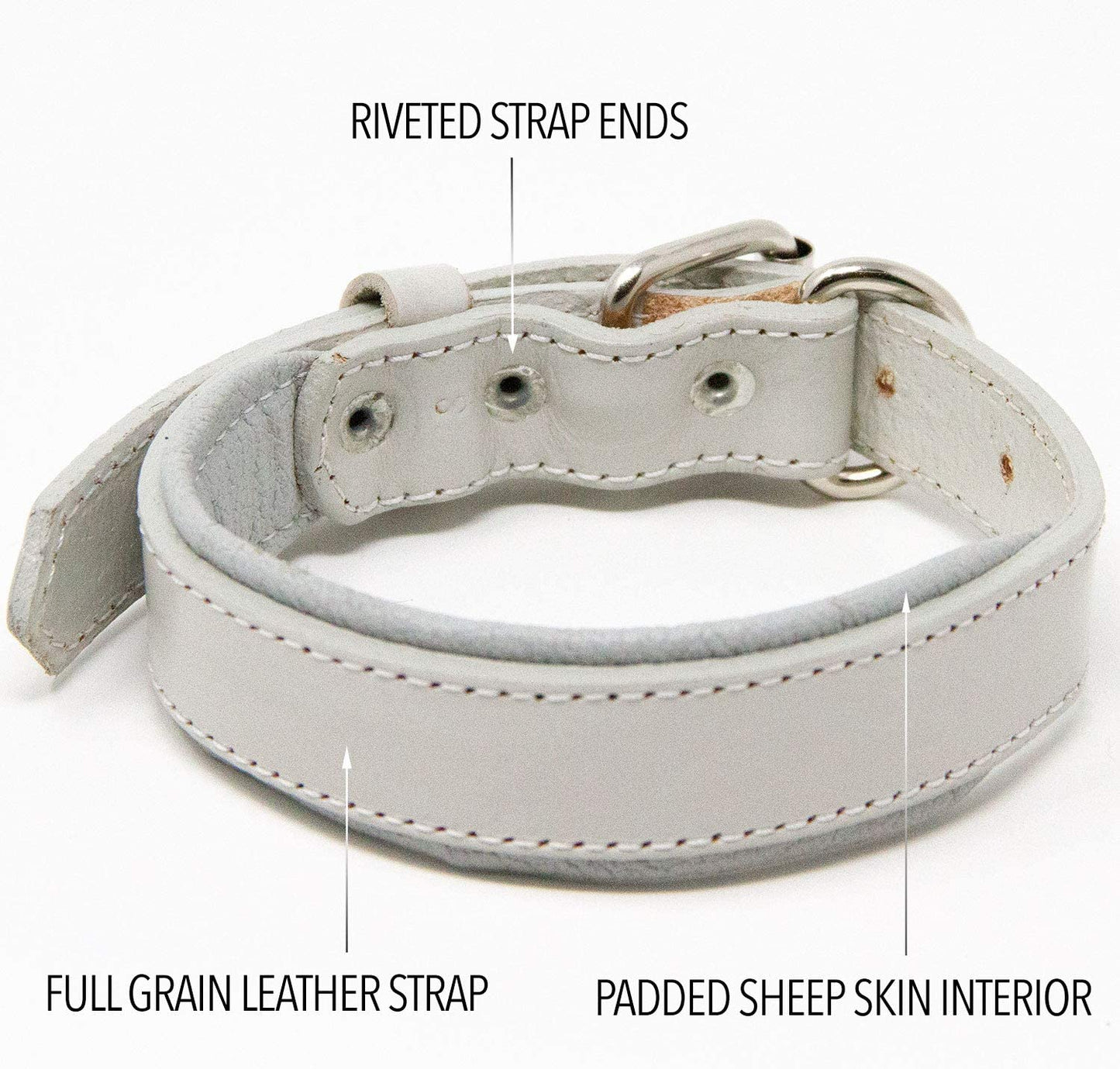 Padded Dog Collar, Small, Fits 10"-12" Necks, Colour: Gray