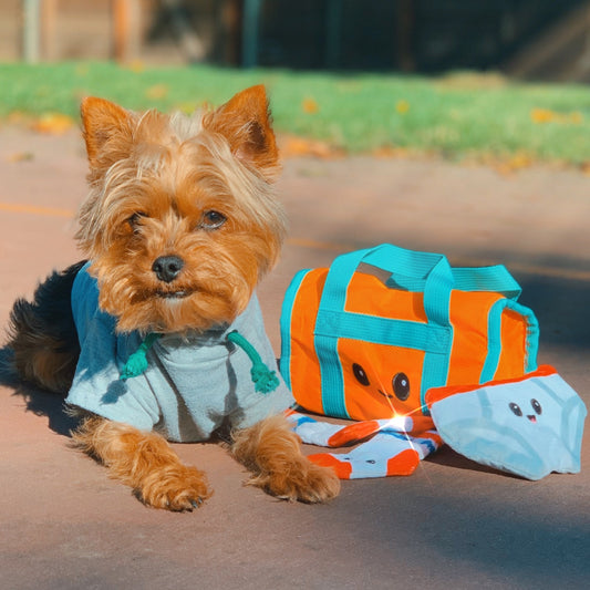 Plush, Crinkle, Squeaky Dog Toys