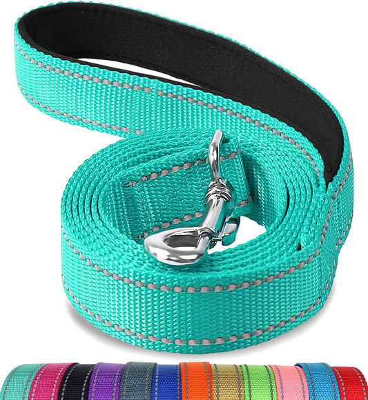 Reflective Dog Leash 6ft Nylon 72x1x0.05 Teal