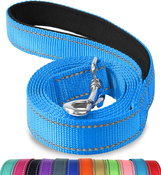 Reflective Dog Leash 6ft Nylon 72x1x0.05, SkyBlue