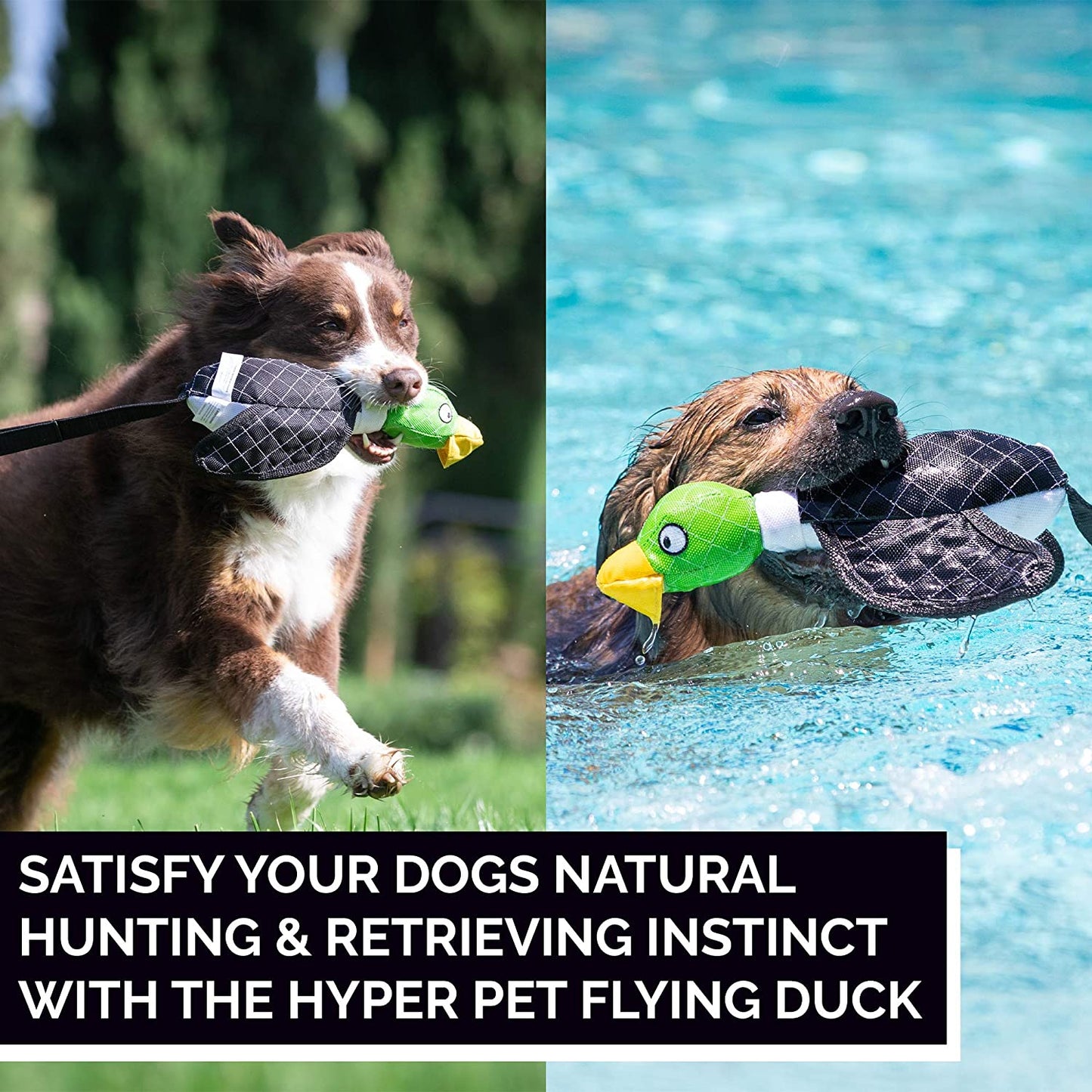 Interactive flying duck sling toy