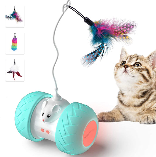 Interactive pets Toys for Indoor