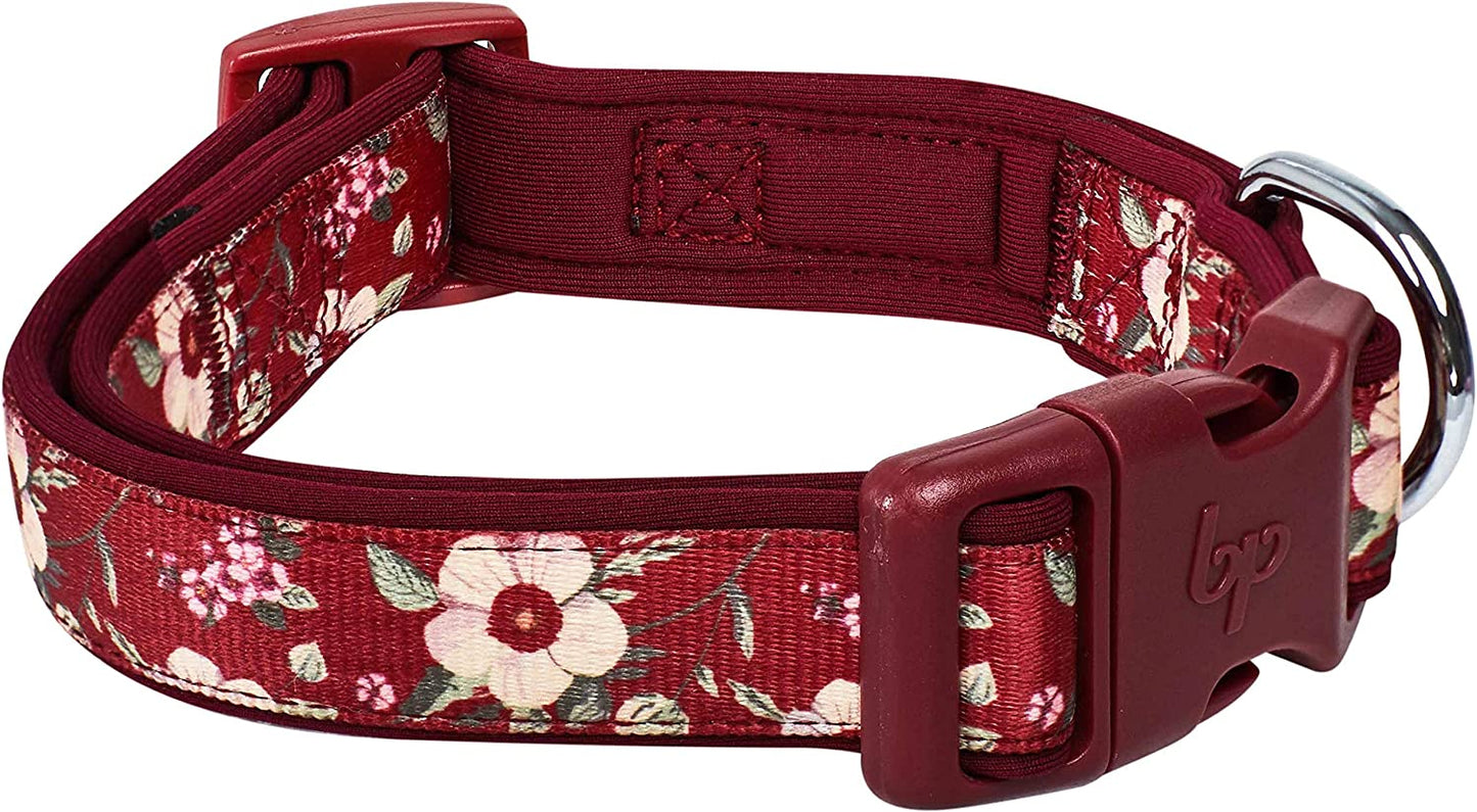 Floral Print Padded Pet Collar