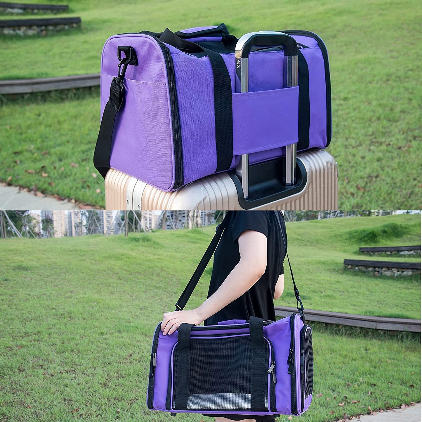 Soft Sided Carrier for Small and Medium Pets, Purple