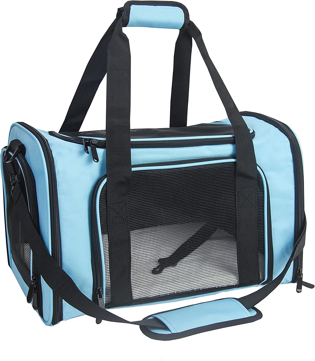 Soft Sided Carrier for Small and Medium Pets, Blue