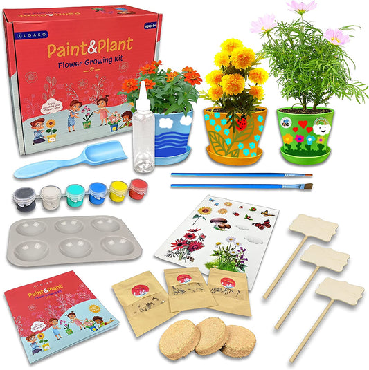 Paint and Plant Flower Growing Kit for Kids, 8.1 x 8.2 x 4 inches