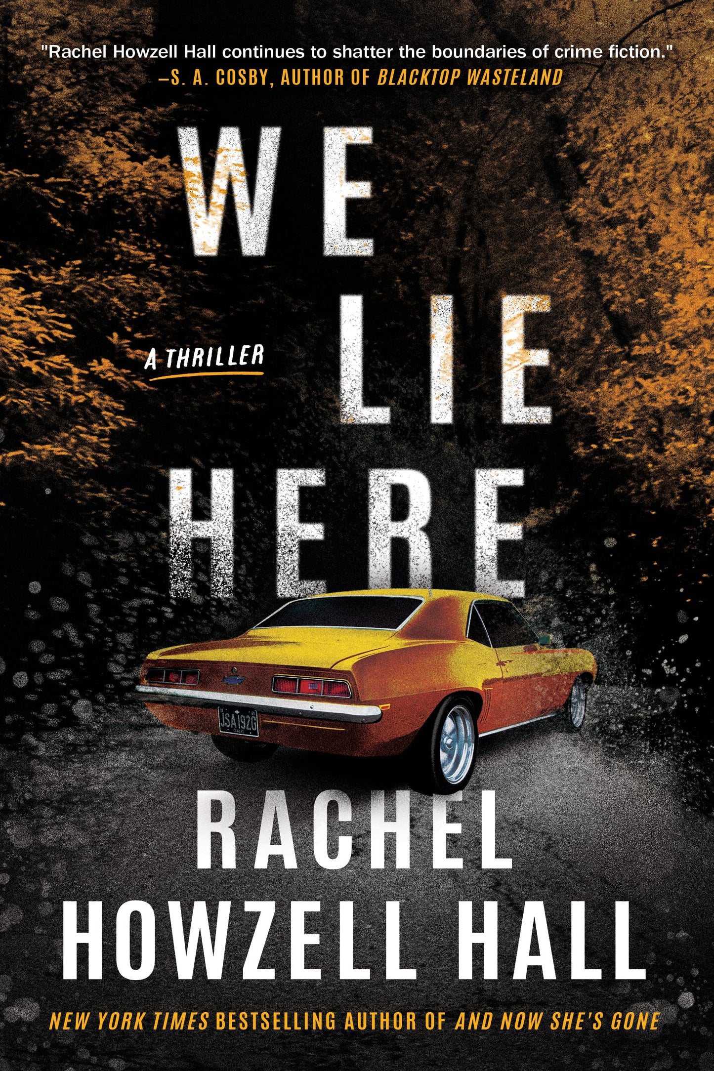 We Lie Here: A Thriller, Hardcover