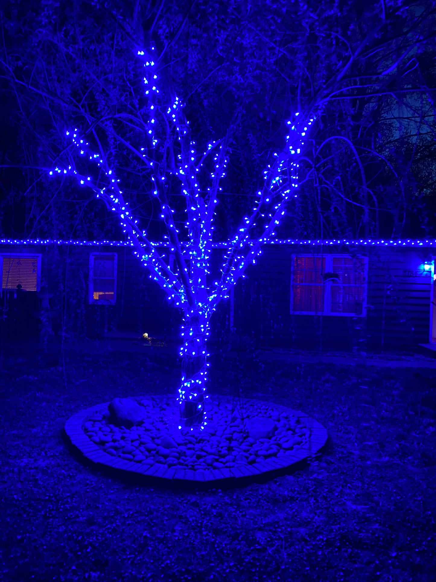 Indoor and outdoor blue Christmas string lights