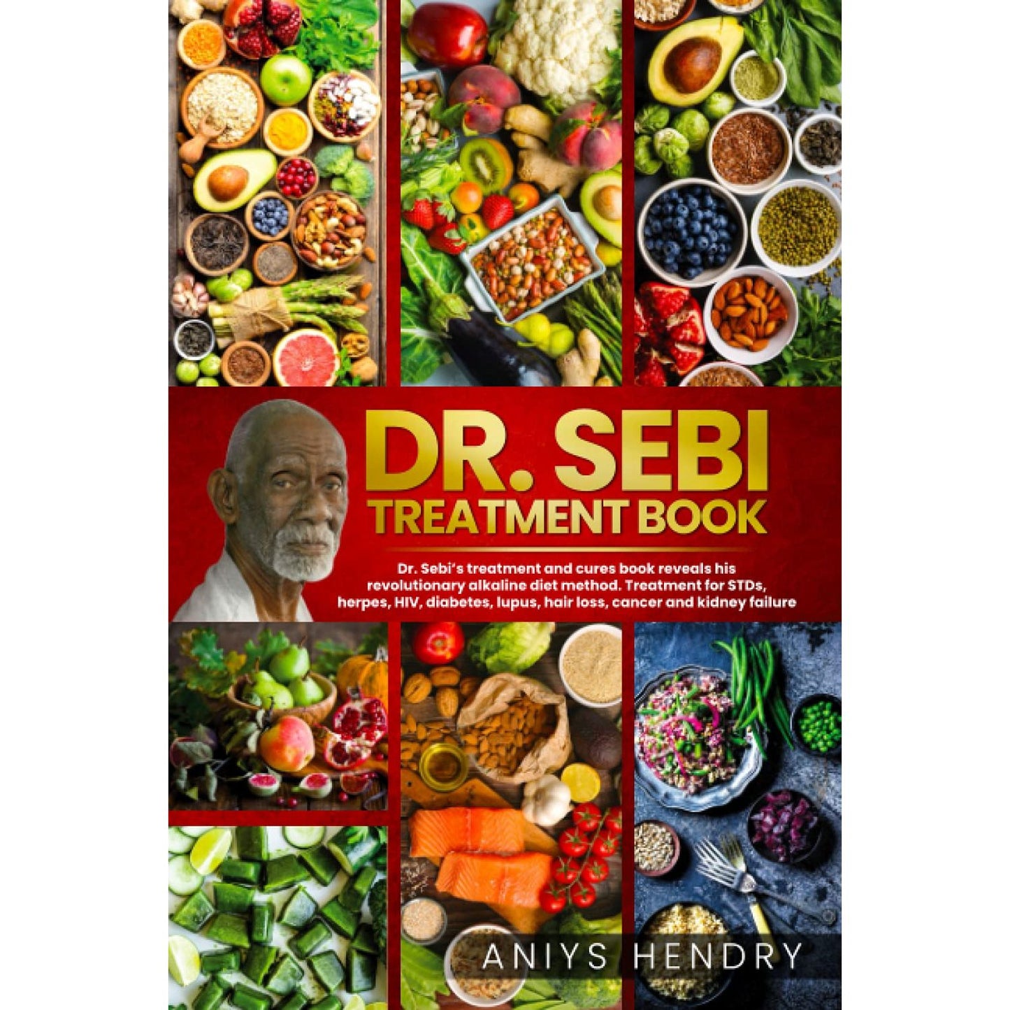 DR. SEBI'S TREATMENT BOOK, Paperback