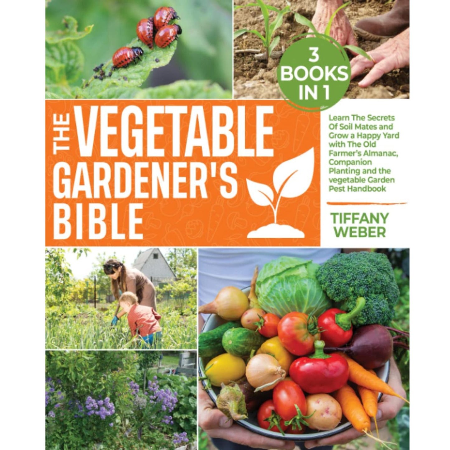 The Vegetable Gardener's Bible, Paperback