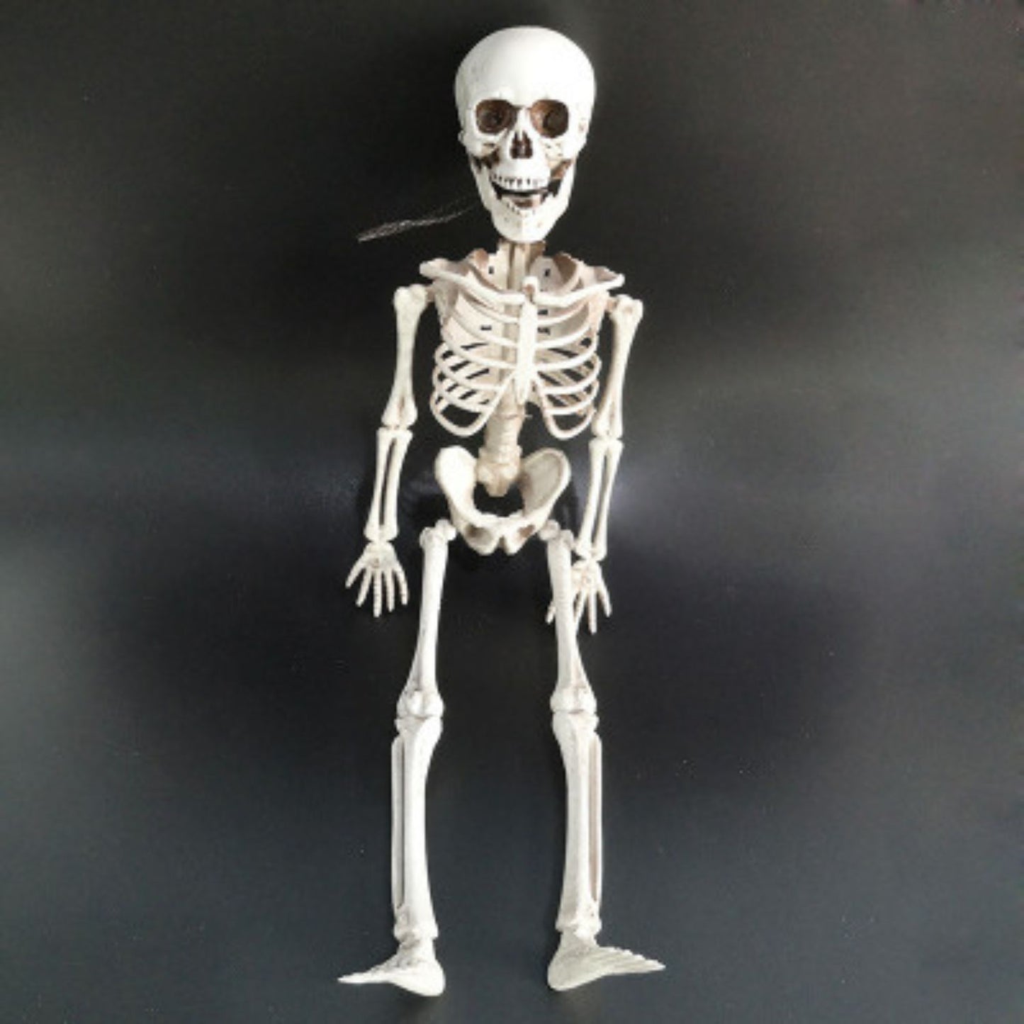 1 pcs Halloween skeleton 400mm