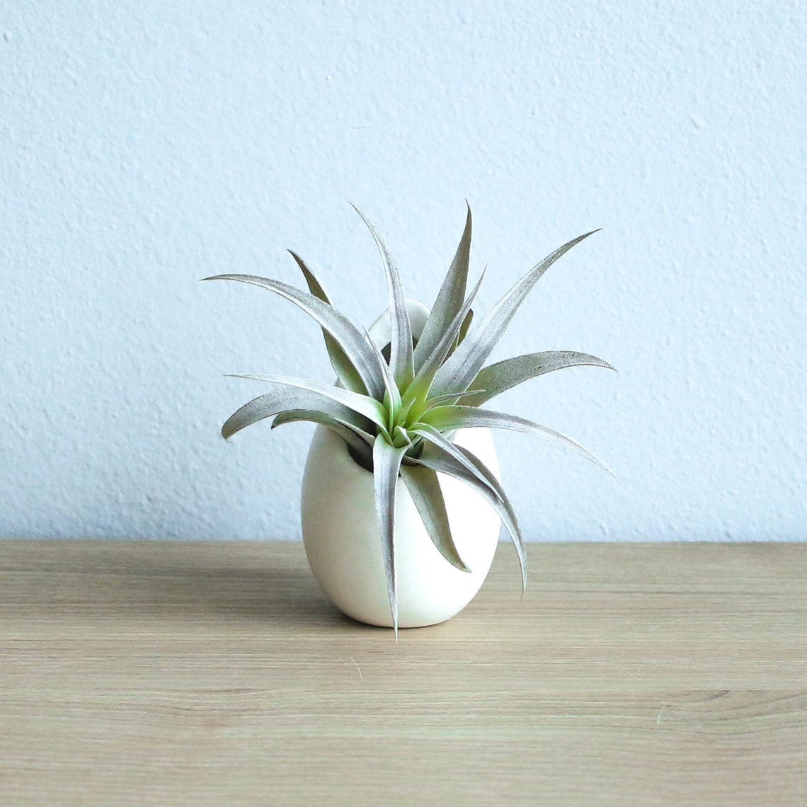 3 large ivory ceramic vases