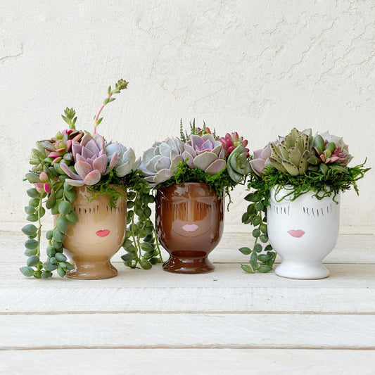 Hand Painted Ceramic Planters, Small 3.5 "Inch, caramel