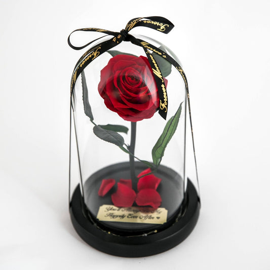 Real rose preserved in glass dome, red