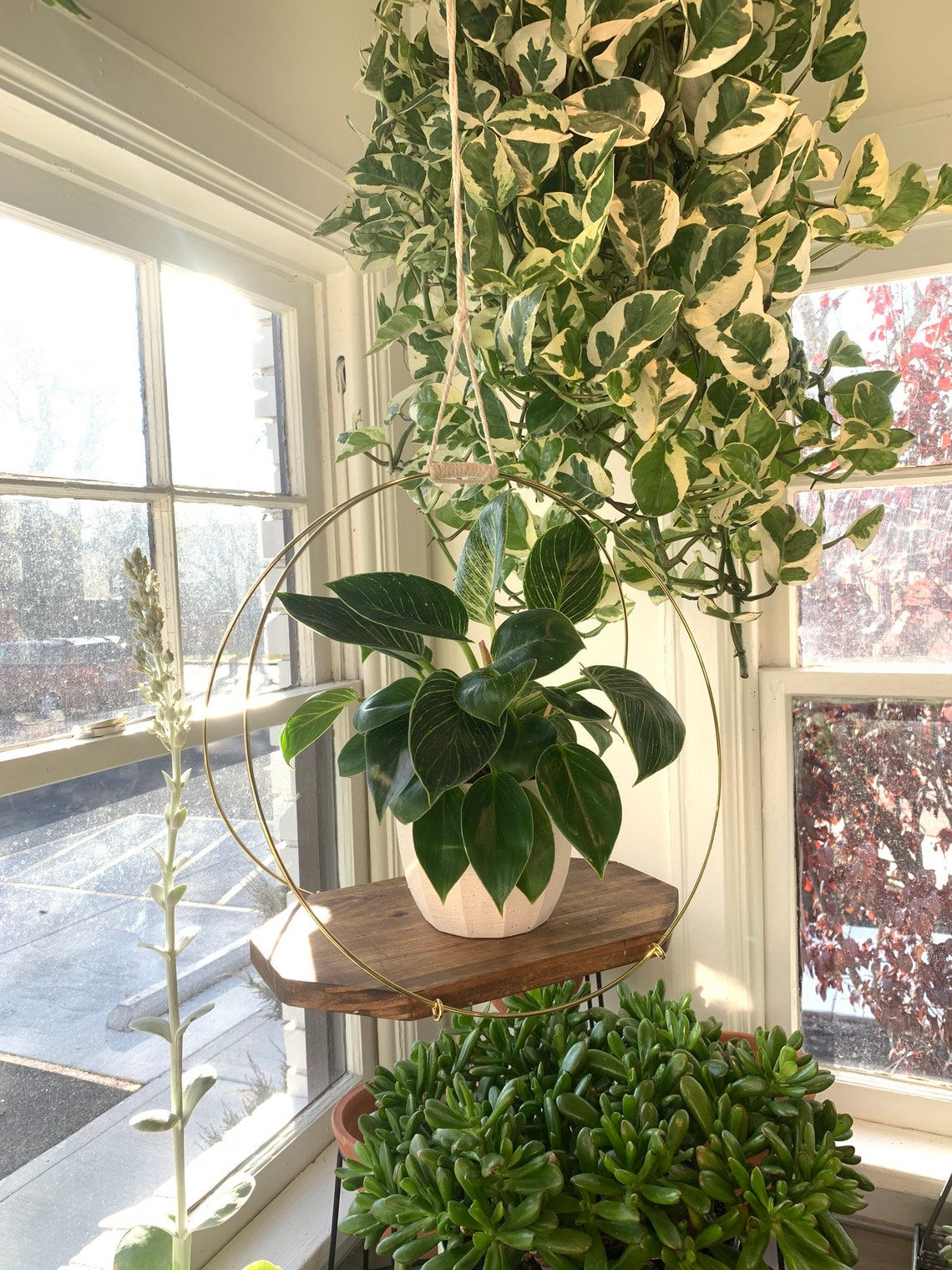 Elegant Hanging Plant Rack with Rings, Standing Natural