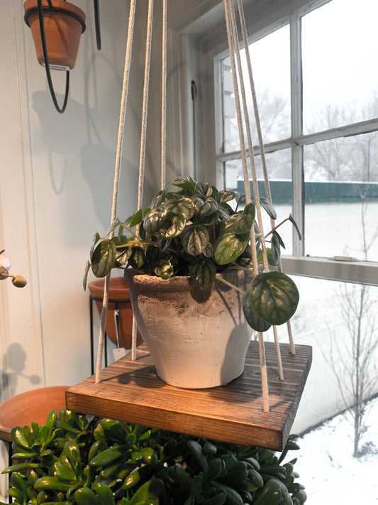 Hanging Plant Rack, Small Base, 8.5 '' by 7.5 ''