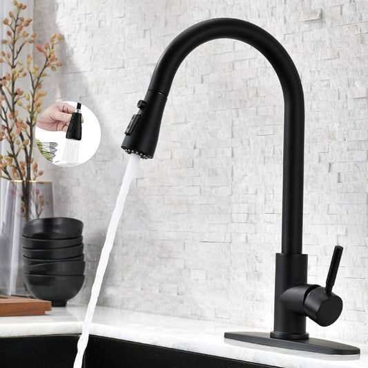 Matte Black Kitchen Sink Faucet, With Pull Down Sprayer