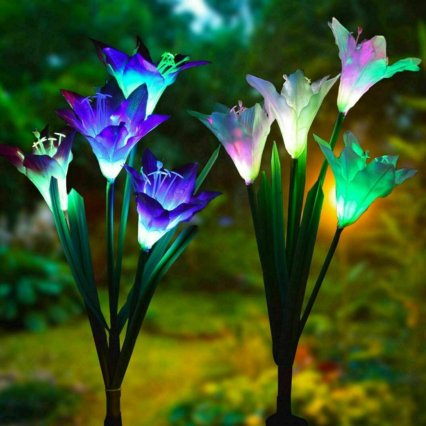 2 Pack Solar Lily Lights for Garden