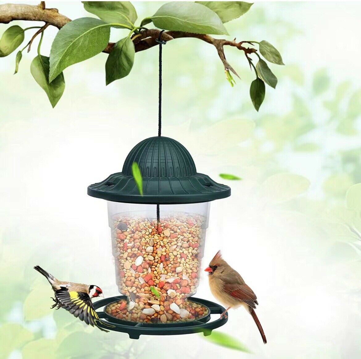 2 Pack Garden Bird Feeders