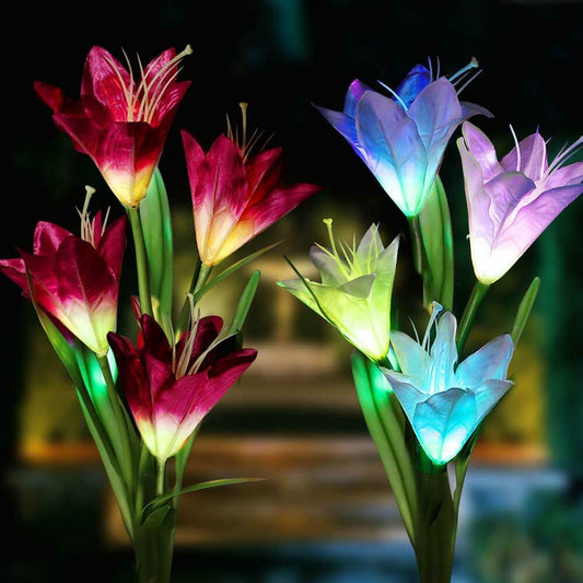 2 Pack Flower Solar Lanterns Outdoor