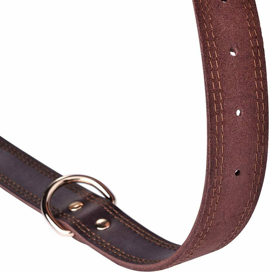 Pet collar with resistant buckle, Size M (Color: Brown)