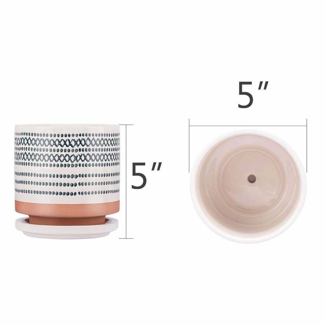 2 Pack of 5 Inch Ceramic Plant Pots