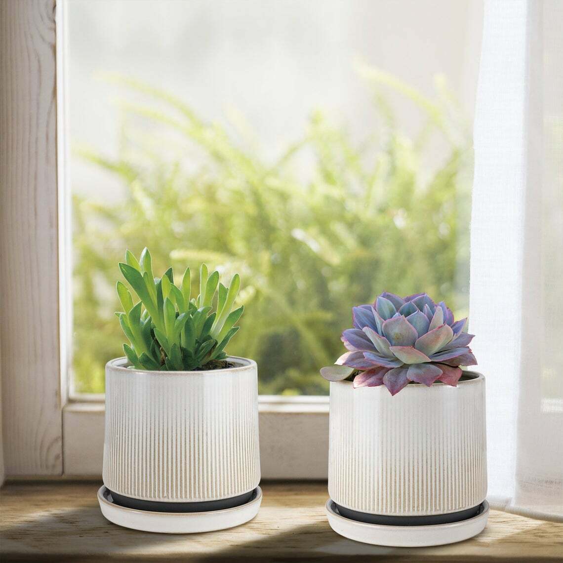 2 pack of 5 inch ceramic pots with drainage hole and saucer